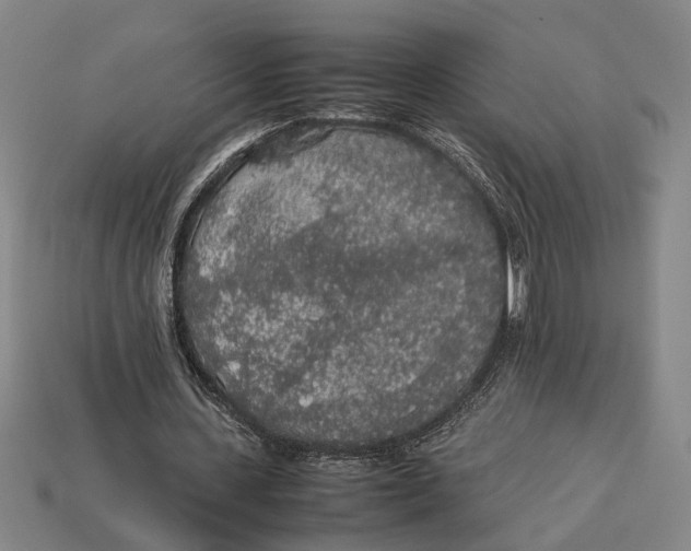 X0000113070531200909250931