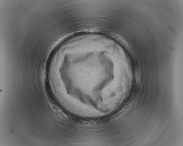 X0000113070532200909250931