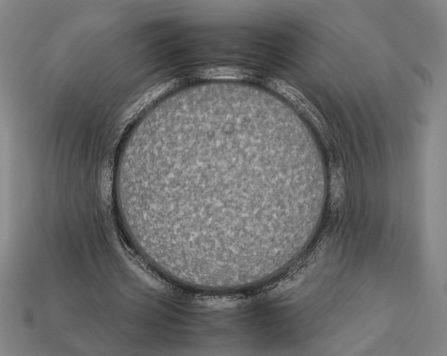 X0000113070533200909250931