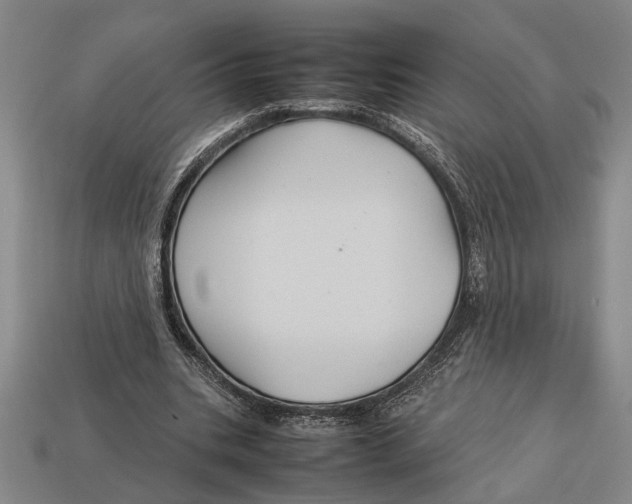 X0000113070535200909250931