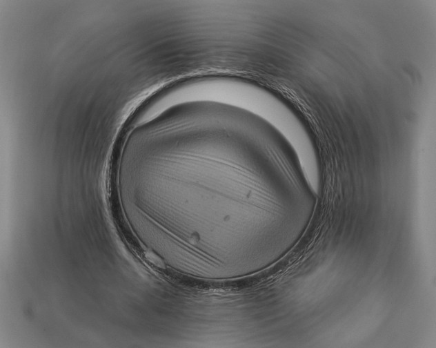 X0000113070536200909250931