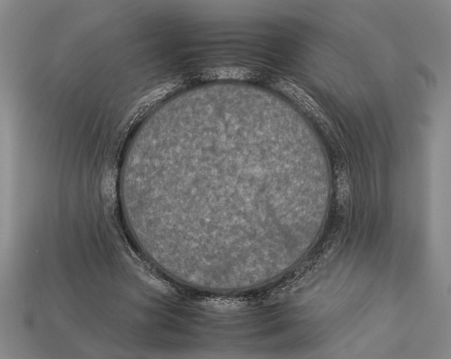 X0000113070537200909250931
