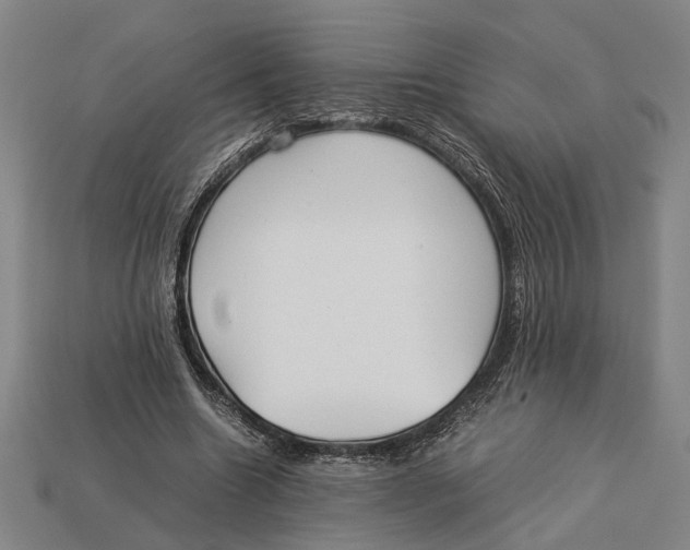 X0000113070538200909250931