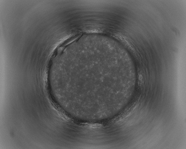 X0000113070539200909250931