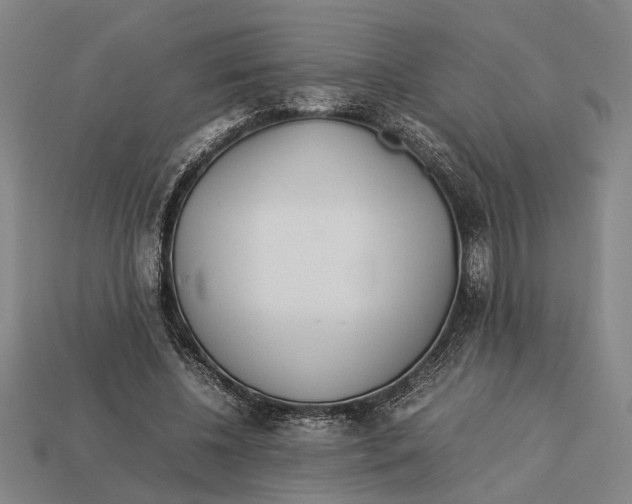 X0000113070540200909250931