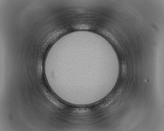X0000113070541200909250931