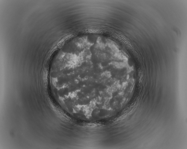 X0000113070542200909250931