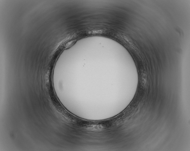 X0000113070543200909250931