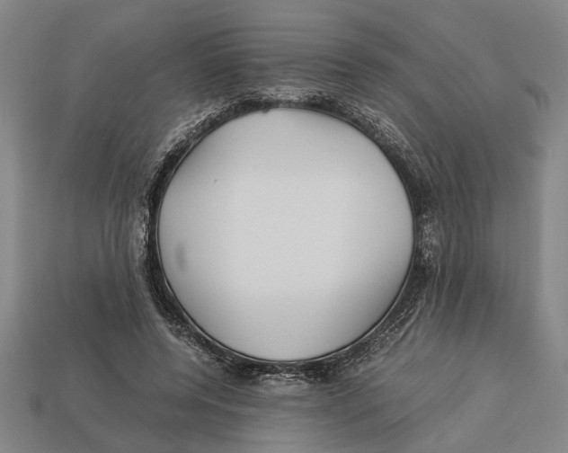 X0000113070544200909250931