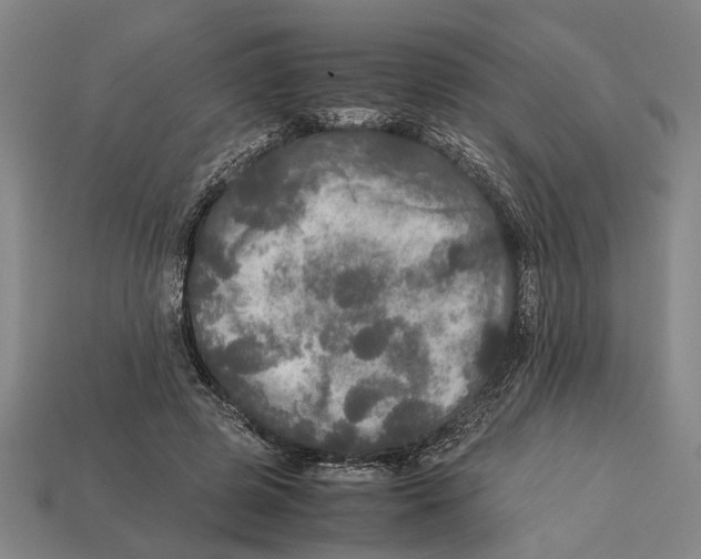 X0000113070545200909250931