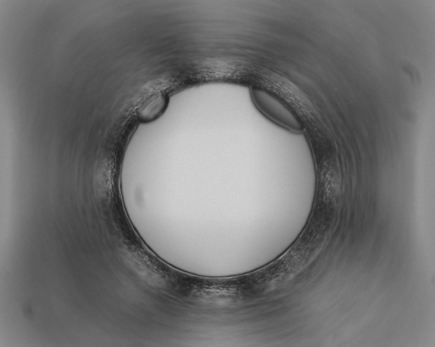 X0000113070546200909250931