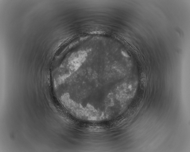 X0000113070547200909250931