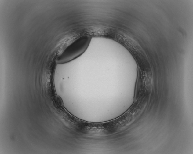 X0000113070548200909250931