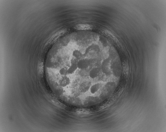 X0000113070549200909250931