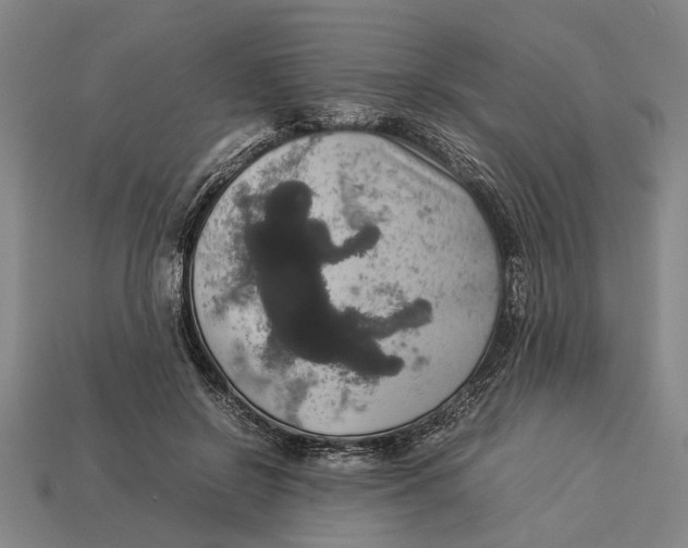 X0000113070550200909250931