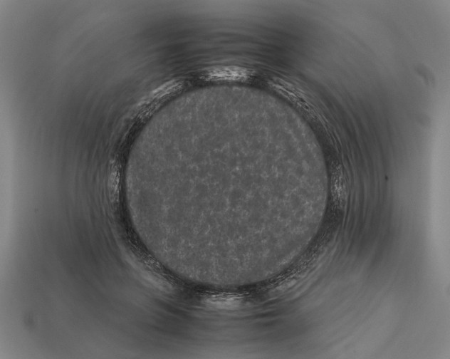 X0000113070551200909250931