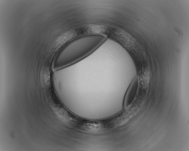 X0000113070552200909250931