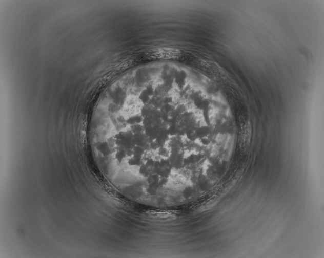 X0000113070553200909250931