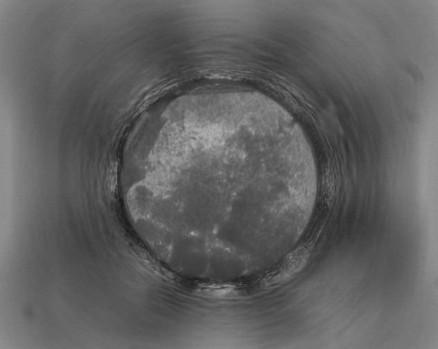 X0000113070554200909250931