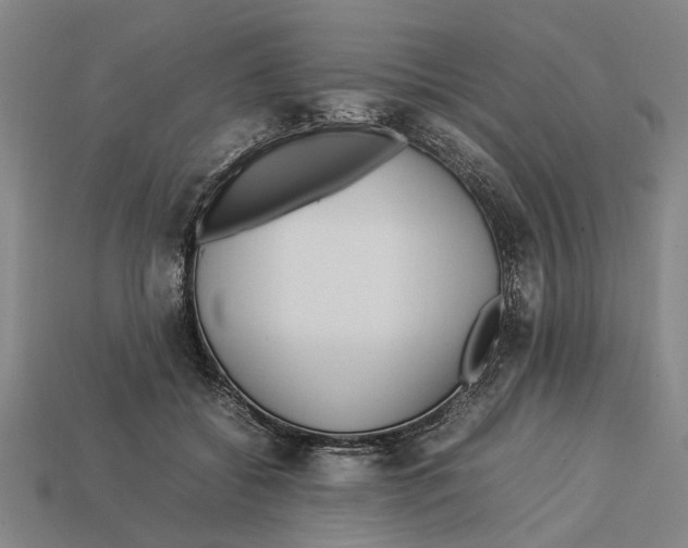 X0000113070556200909250931