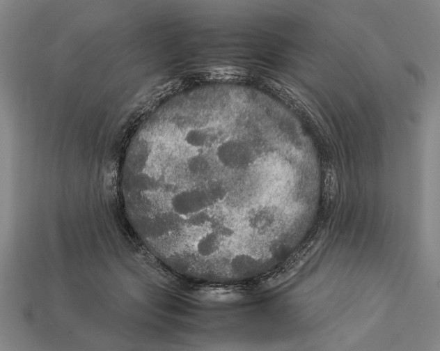 X0000113070557200909250931