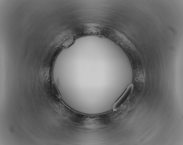 X0000113070560200909250931