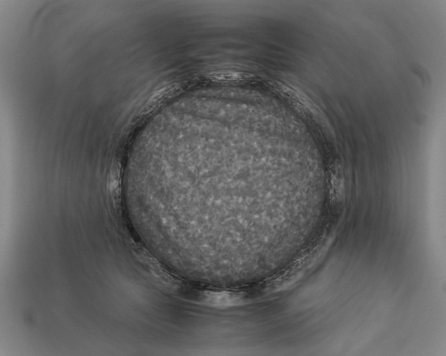X0000113070561200909250931