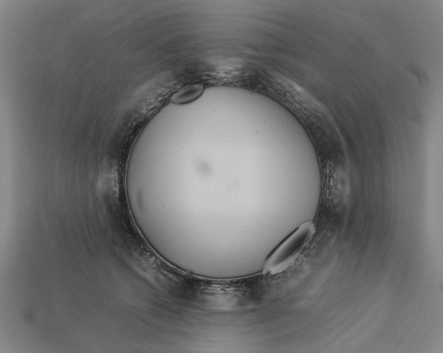 X0000113070562200909250931