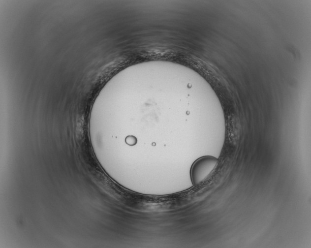 X0000113070563200909250931