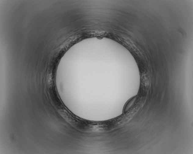 X0000113070564200909250931
