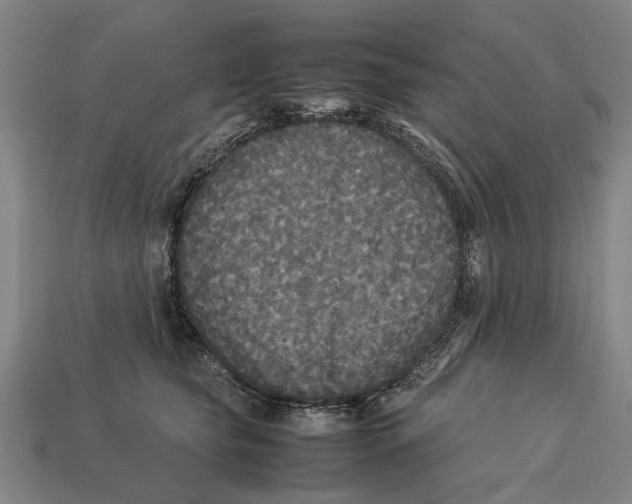 X0000113070565200909250931