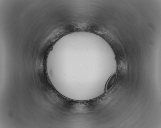 X0000113070566200909250931
