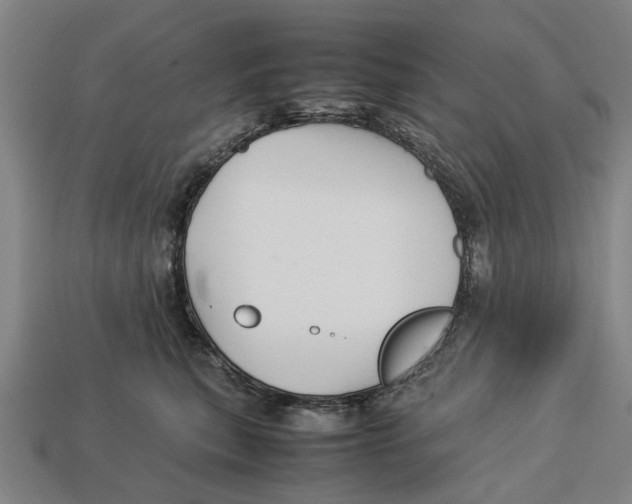 X0000113070567200909250931