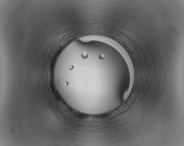 X0000113070568200909250931
