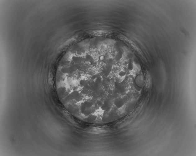 X0000113070569200909250931