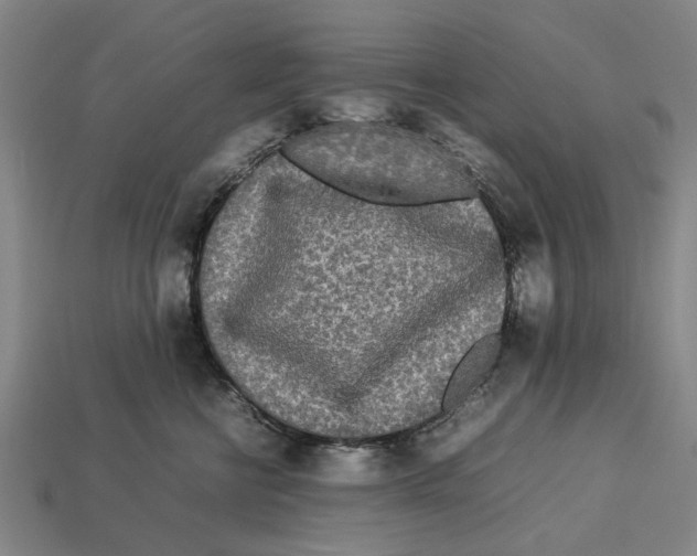 X0000113070570200909250931