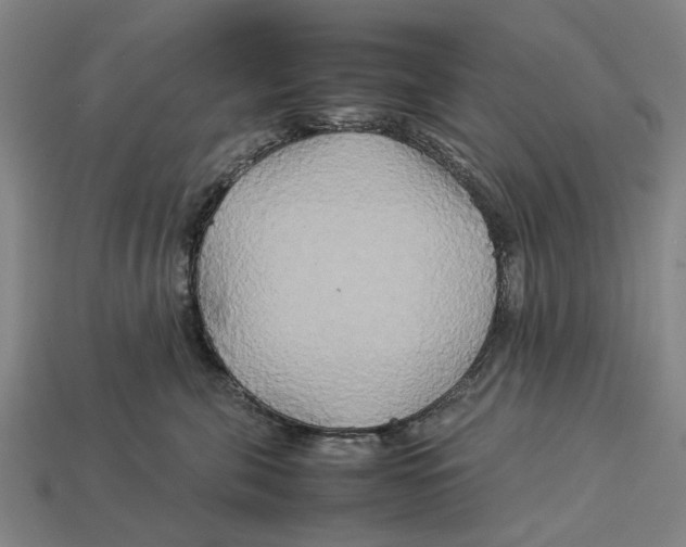X0000113070571200909250931