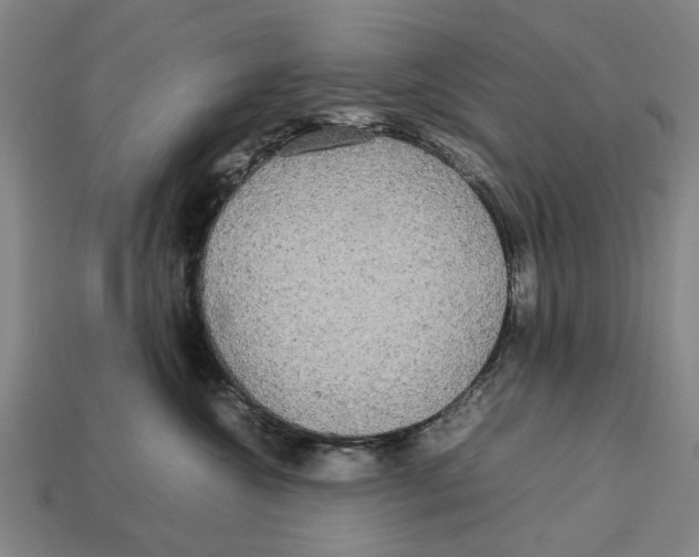 X0000113070572200909250931