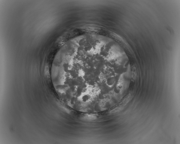 X0000113070573200909250931