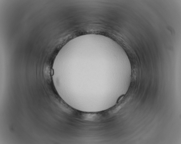 X0000113070575200909250931