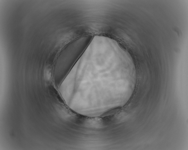 X0000113070576200909250931