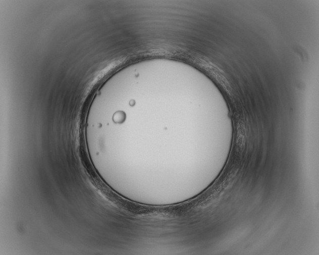 X0000113070578200909250931