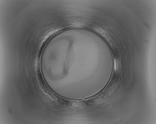 X0000113070579200909250931