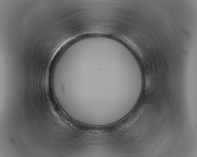 X0000113070580200909250931