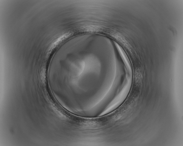 X0000113070581200909250931
