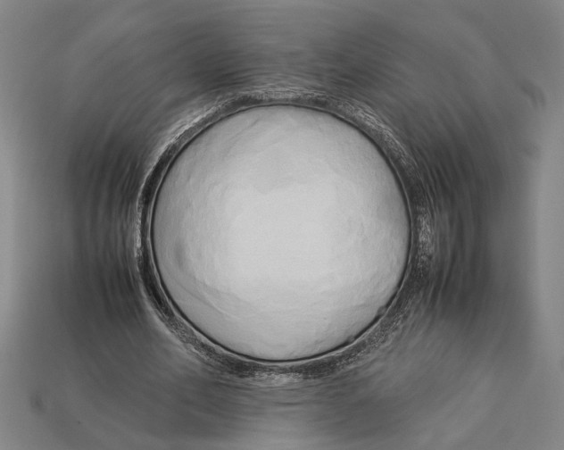 X0000113070582200909250931