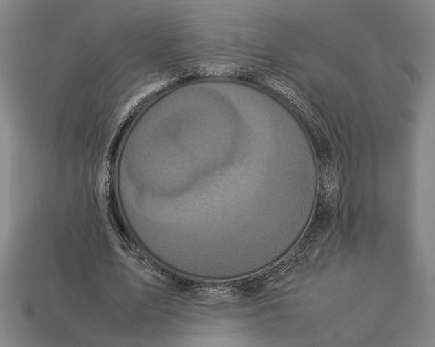 X0000113070583200909250931