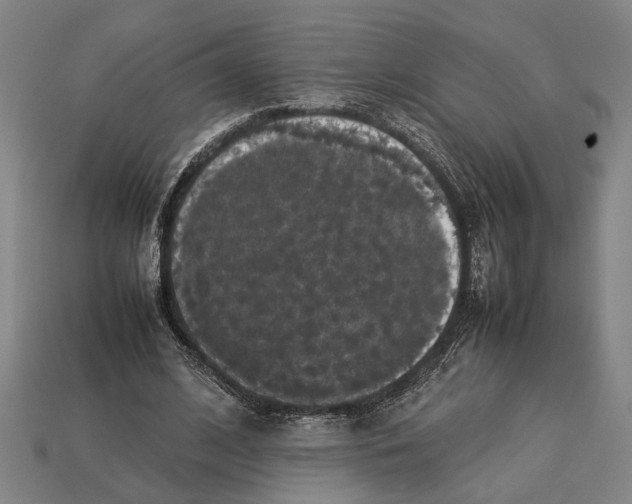 X0000113070584200909250931