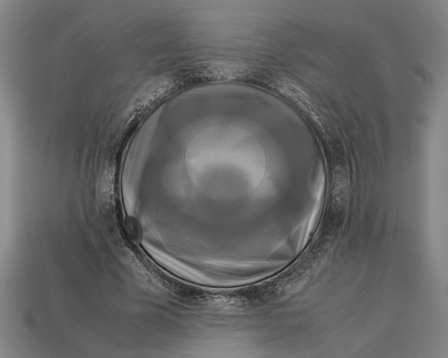 X0000113070585200909250931