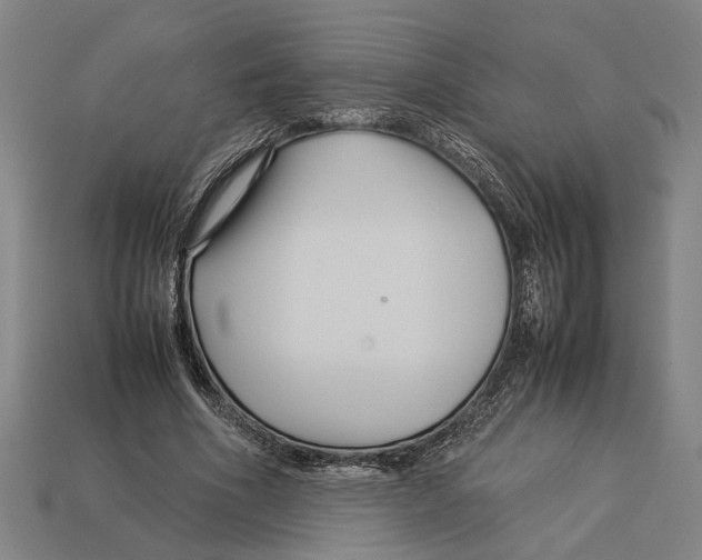 X0000113070586200909250931